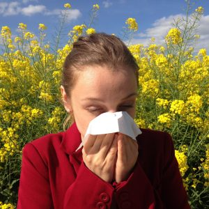 Relief is in Sight for Hay Fever Sufferers