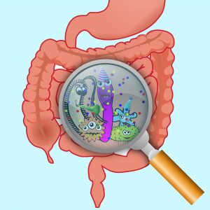 Probiotics to Lose Weight?! Scientists Say Yes!