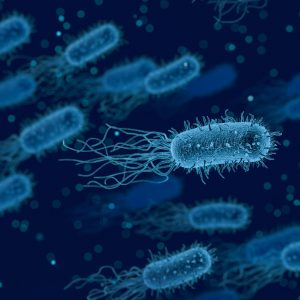 Don’t Be Duped! What To Look Out For When Buying A Probiotic
