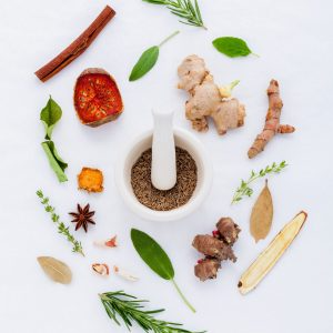 Christmas Herbal Medicine Survival Guide
