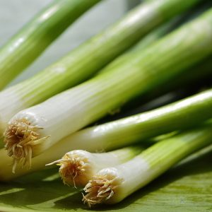 So You’re Taking Probiotics – But Are You Feeding Them?