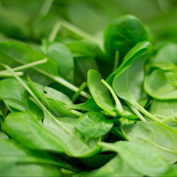spinach-iron-deficiency